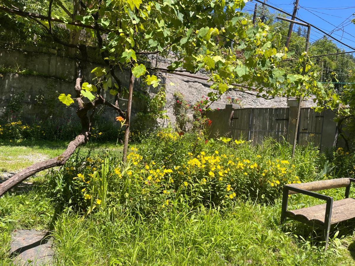 Borjomi Makvala'S Guest House Exterior photo