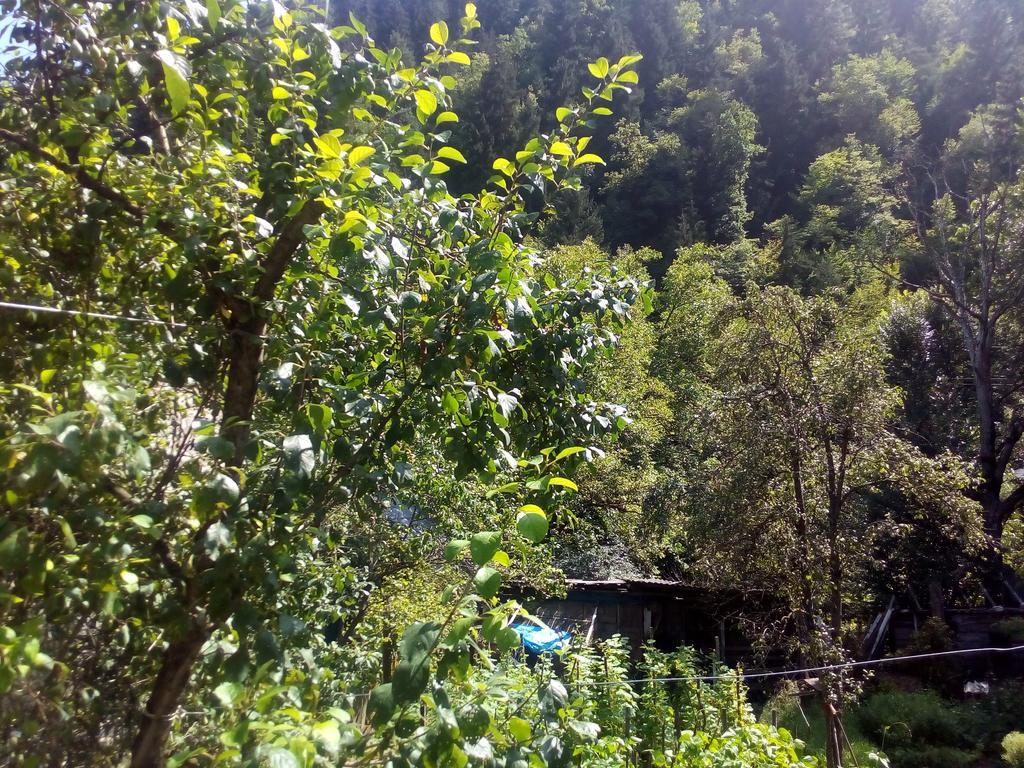 Borjomi Makvala'S Guest House Exterior photo