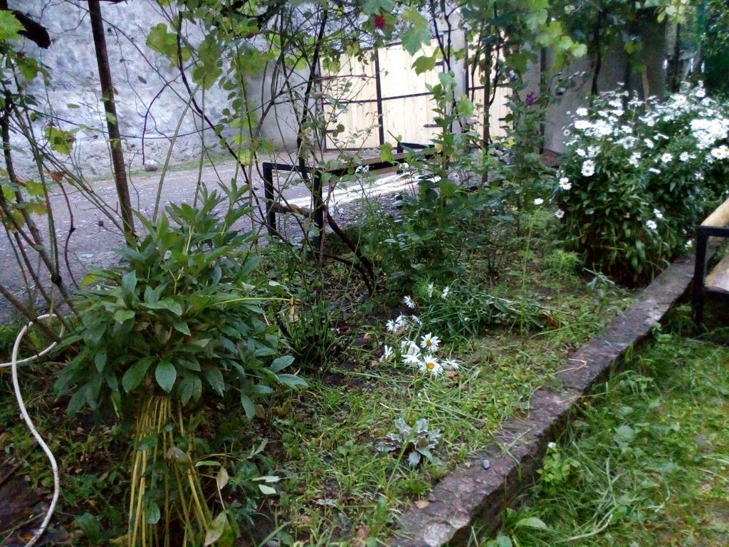 Borjomi Makvala'S Guest House Exterior photo