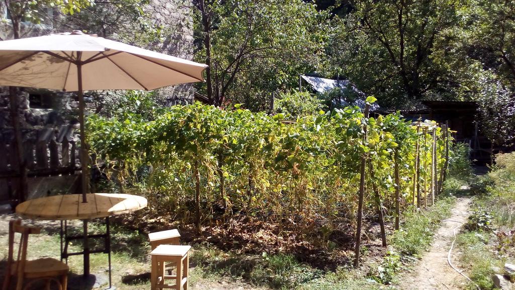 Borjomi Makvala'S Guest House Exterior photo